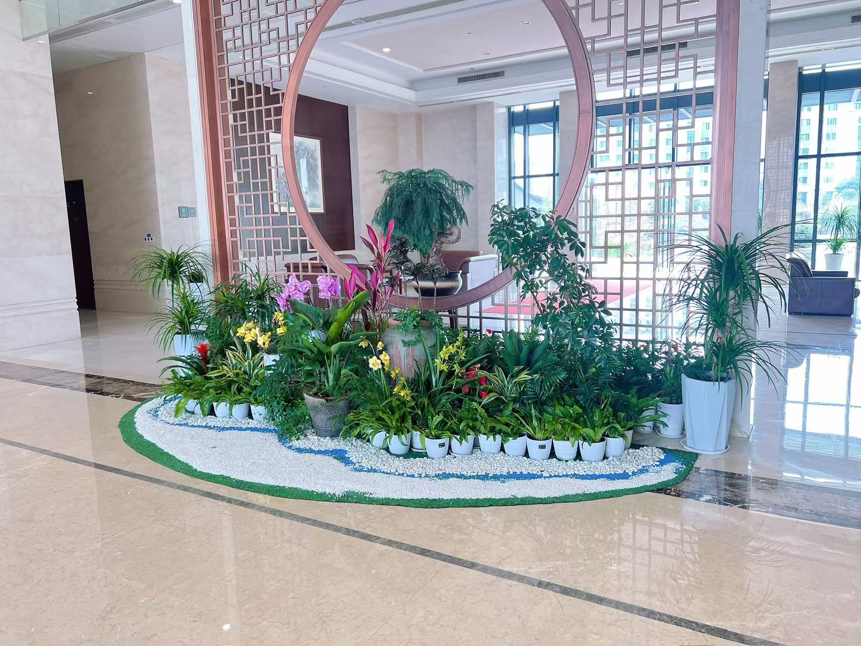 慈溪花木出租价格